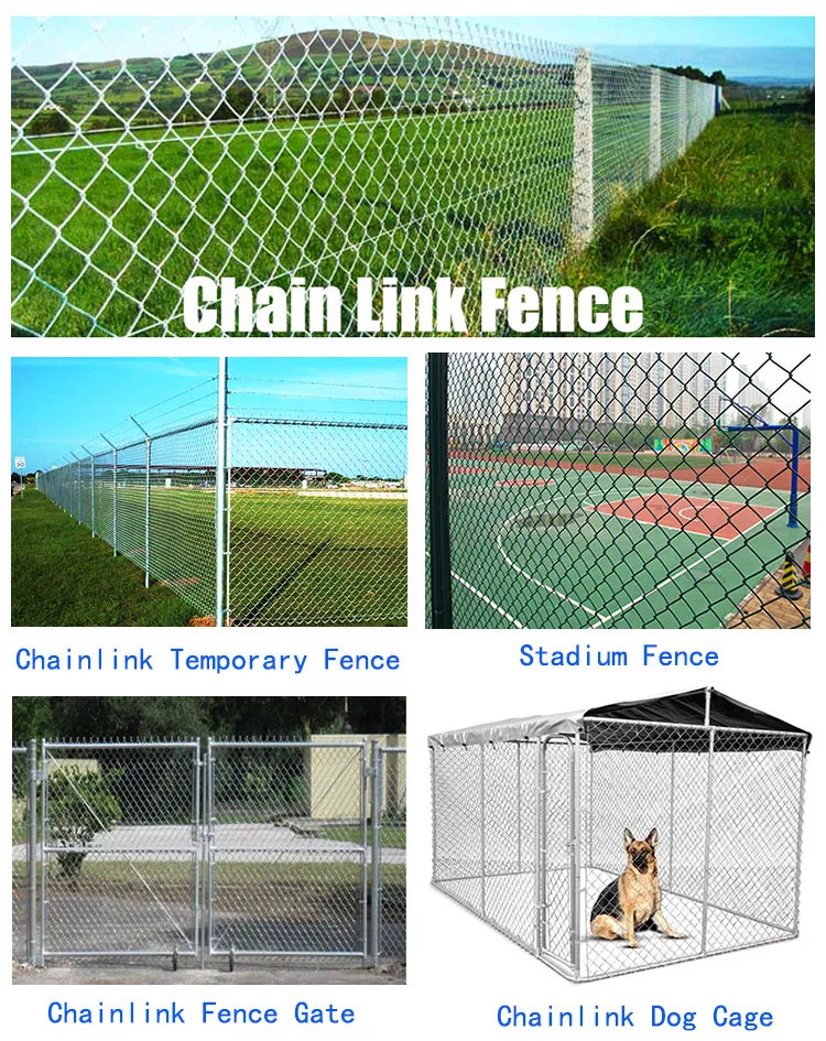 Chain Link Fence