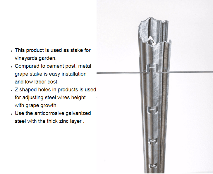 Grape Post Metal Vineyard Trellis Post for Vineyard Trellis